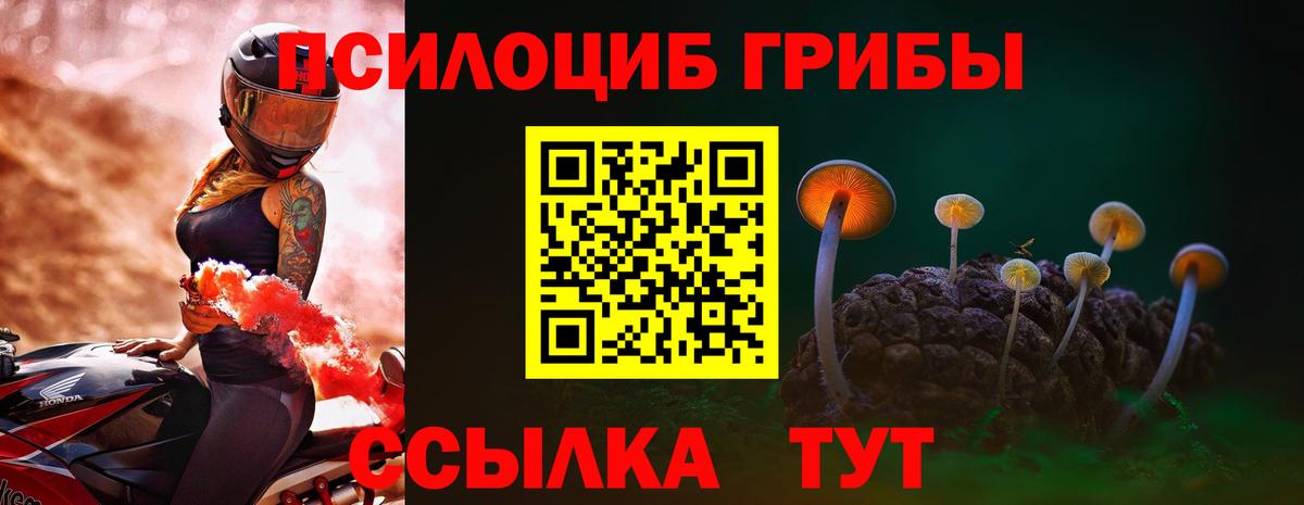 Мыски  Псилоцибиновые грибы ЛСД  Вход с VPN 
